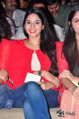 Padesave Movie Audio Success Meet in Vizag